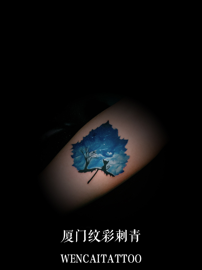 ŵСҶǿ