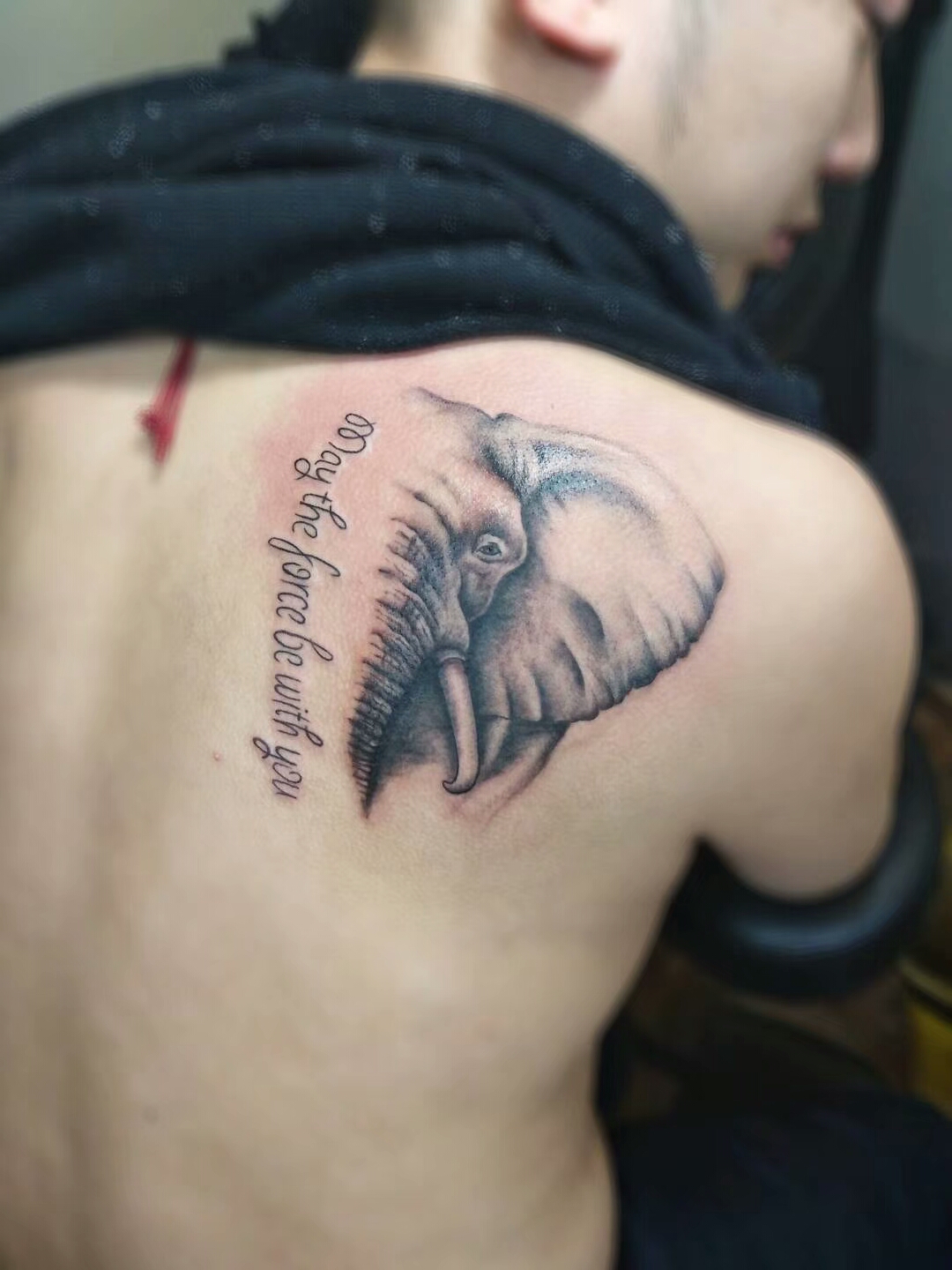 周先生背部的大象英文纹身图案